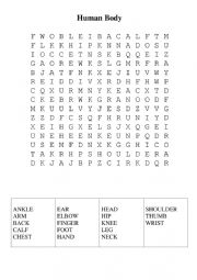 English Worksheet: Word Search Your Body
