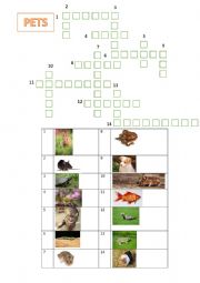 Crosswords pets