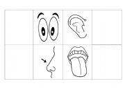 Body Parts Dictionary