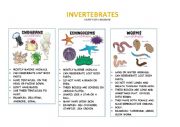 INVERTEBRATES