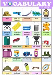 English Worksheet: Camping Vocabulary