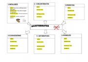 English Worksheet: invertebrates animals diagram