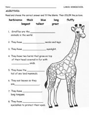 English Worksheet: Adjectives
