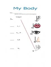 English Worksheet: my body