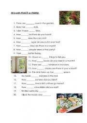 English Worksheet: Much or many