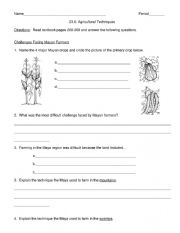 English Worksheet: The Mayas