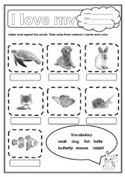 English Worksheet: Pets