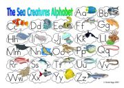 The Sea Creatures Alphabet with key