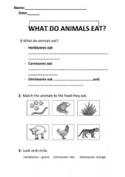 English Worksheet: What do animals eat?