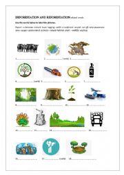 English Worksheet: deforestation and reforestation related words
