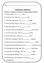 English Worksheet: Possessive Adjective