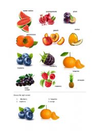 English Worksheet: Fruit and berries