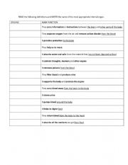 English Worksheet: Internal organs