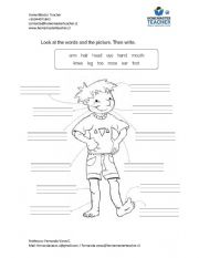 English Worksheet: Pets