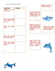 English Worksheet: WH questions/ sharks pt2