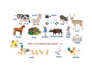 Farm animal vocabulary with picture
