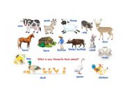 English Worksheet: Farm animal vocabulary with picture