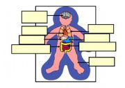English Worksheet: Label the body