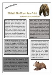 English Worksheet: 