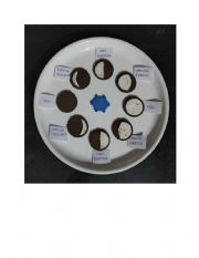 English Worksheet: Phases of Moon 