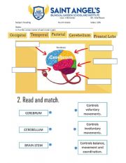 English Worksheet: reading 4 quiz