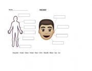 English Worksheet: The Body 