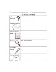 English Worksheet: Science
