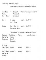 English Worksheet: Simple Present