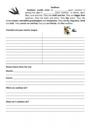 English Worksheet: Speaking, reading, writing