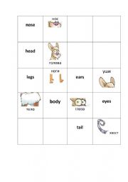 Animals Body Parts Bingo Cards Game