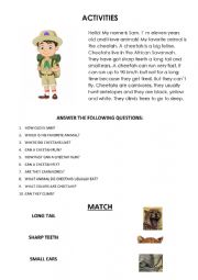 English Worksheet: Cheetahs