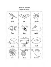 English Worksheet: Animals