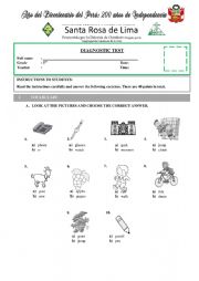 English Worksheet: TEST - PRIMARY - THIRD GRADE - DIAGNOSTIC TEST