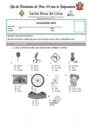 English Worksheet: TEST - PRIMARY - FIFTH GRADE - DIAGNOSTIC TEST