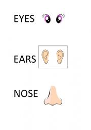 English Worksheet: PARTS OF THE FACE