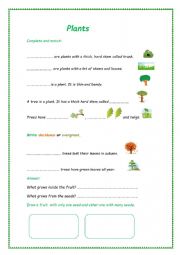 English Worksheet: Plants