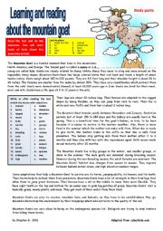 English Worksheet: Learning and reading about the mountain goat - Reading + comprehension ex + KEY