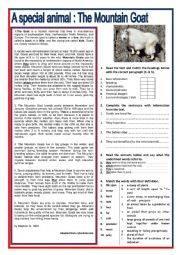 English Worksheet: A special animal : The Mountain Goat - Reading + comprehension Ex + KEY