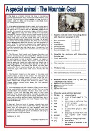 A special animal : The Mountain Goat - Reading + comprehension Ex + KEY