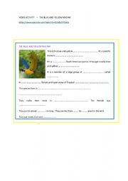 video activity- MACAWS