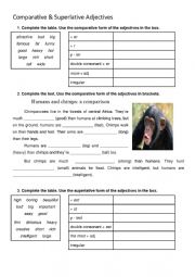 English Worksheet: Comparative & Superlative