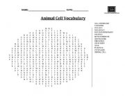 Animal Cell Vocabulary