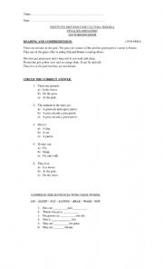 English Worksheet: TEST