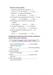 English Worksheet: Past Simple & Past Continuous