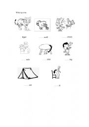 English Worksheet: EXERCISE FOR GRADE 1