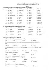 grammar worksheet