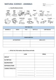 English Worksheet: Animal classification