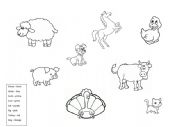 Colour in farm animals 