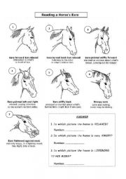 Horse�s ears communication