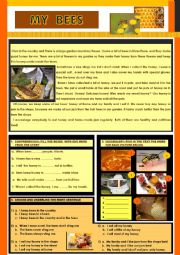 English Worksheet: MY BEES